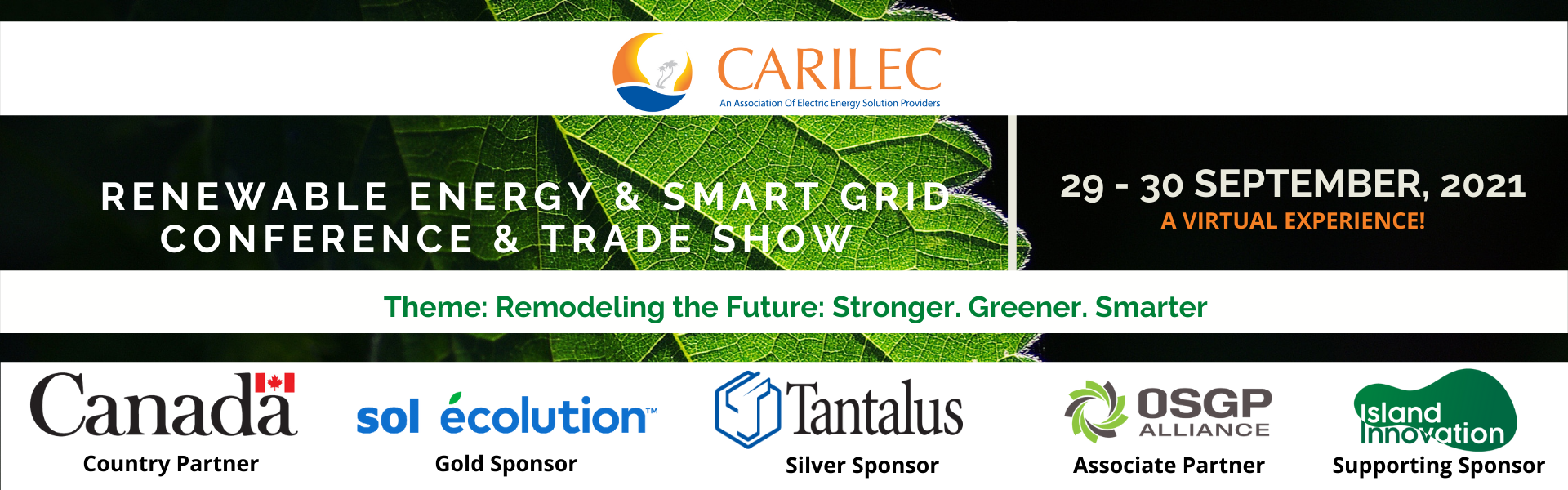 Renewable Energy & Smart Grid Conferen