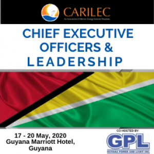 CEO Conference Platinum Sponsorship