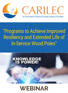 Programs to Achieve Improved Resiliency and Extended Life of In-Service Wood Poles