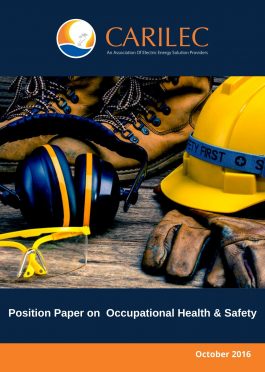 OHSPositionPaperCover